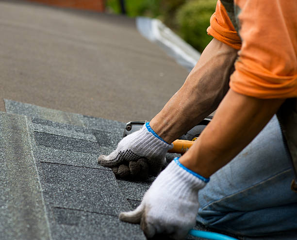 Best Roof Maintenance Services  in Rock Port, MO